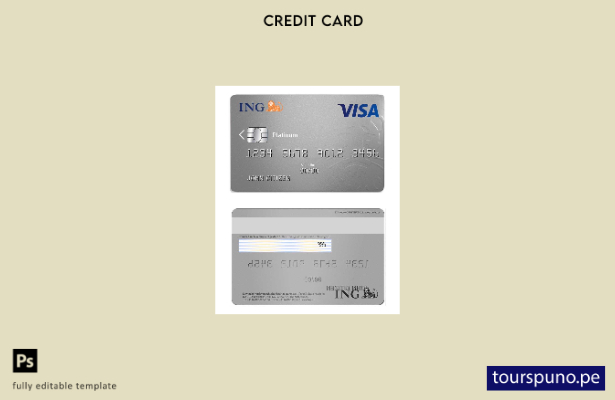 listo para imprimir plantilla platino de tarjeta visa bancaria ING de Países Baj